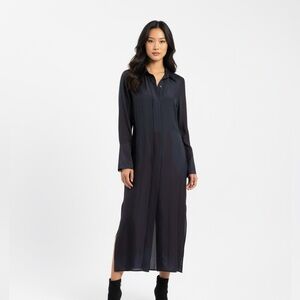 Massimo Dutti dress/duster